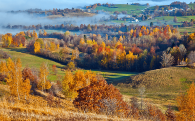 Kam jeseni na izlet? 7 predlogov za uživanje v simfoniji barv